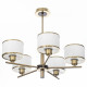 Люстра на штанге Citilux Alton CL421253