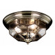 Потолочный светильник Citilux Витра-1 CL442530