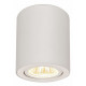 Потолочный светильник Citilux Дюрен CL538111
