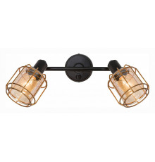 Спот Citilux CL542622