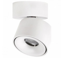 Спот Citilux CL558010N