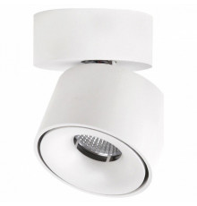 Спот Citilux CL558010N