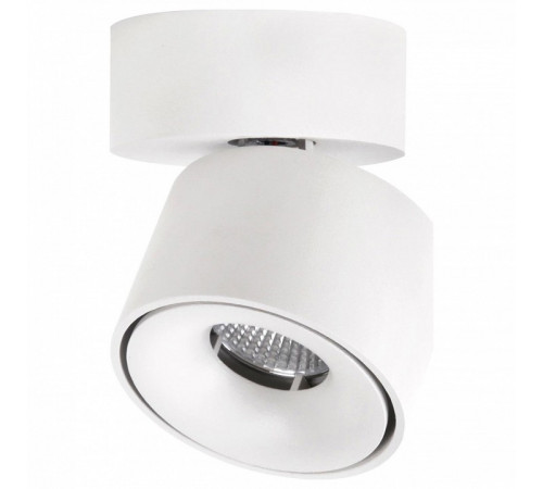 Спот Citilux CL558010N Спот Citilux CL558010N