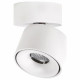 Спот Citilux CL558010N