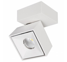 Спот Citilux CL558020N