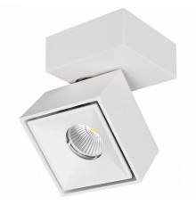 Спот Citilux CL558020N