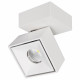 Спот Citilux CL558020N