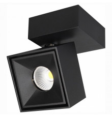 Спот Citilux CL558021N