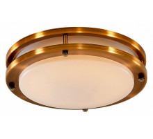 Настенно-потолочный светильник Citilux Бостон CL709203N