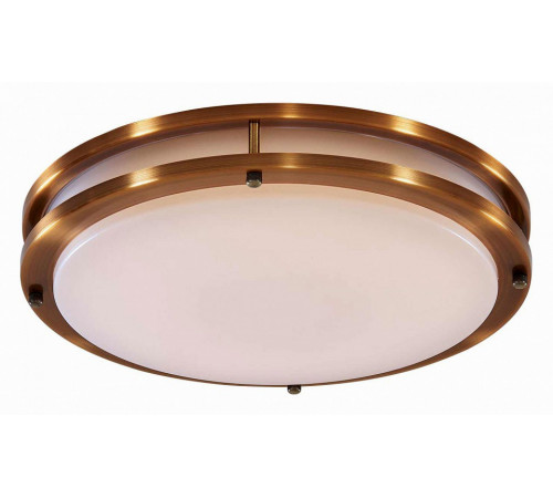 Потолочный светильник Citilux Бостон CL709323N
