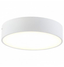 Накладной светодиодный светильник Citilux Тао CL712180N