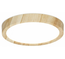 Потолочный светильник Citilux Бейсик CL738122N