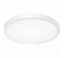 Накладной светильник Citilux CL738240V