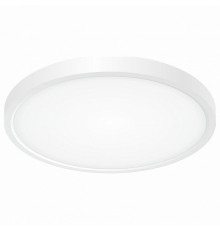 Накладной светильник Citilux CL738240V