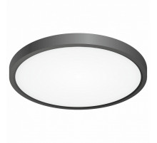 Накладной светильник Citilux CL738241V