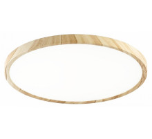 Потолочный светильник Citilux Бейсик CL738322V