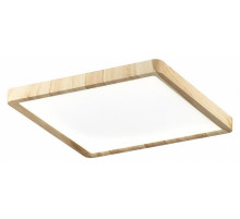 Потолочный светильник Citilux Бейсик CL738K242V