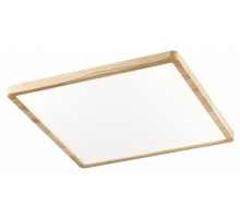 Потолочный светильник Citilux Бейсик CL738K502V