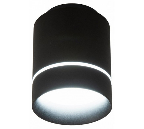 Накладной светильник Citilux Борн CL745011N