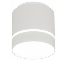 Накладной светильник Citilux Борн CL745020N