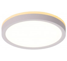 Потолочный светильник Citilux Norma CL748180