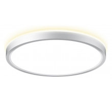 Потолочный светильник Citilux Norma CL748240