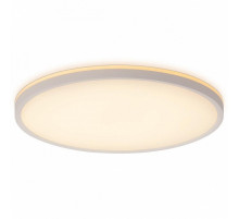 Потолочный светильник Citilux Norma CL748400