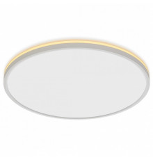 Потолочный светильник Citilux Norma CL748500