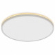 Потолочный светильник Citilux Norma CL748500