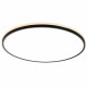 Потолочный светильник Citilux Norma CL748601