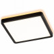 Настенно-потолочный светильник Citilux Norma CL748K201