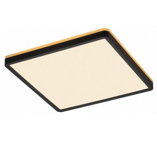Потолочный светильник Citilux Norma CL748K301 Потолочный светильник Citilux Norma CL748K301