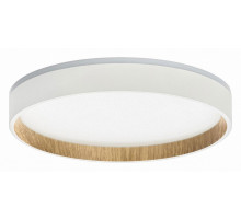Потолочный светильник Citilux Etalon CL750240
