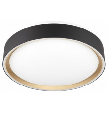 Потолочный светильник Citilux Boss CL751251G