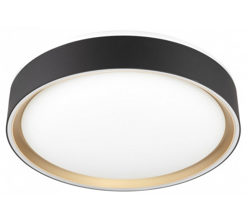 Потолочный светильник Citilux Boss CL751251G Потолочный светильник Citilux Boss CL751251G