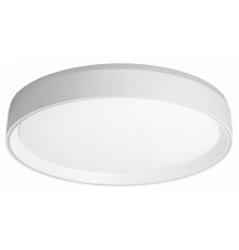 Потолочный светильник Citilux Boss CL751350G