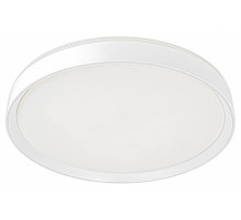 Потолочный светильник Citilux Boss CL751450G