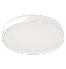 Потолочный светильник Citilux Boss CL751450G