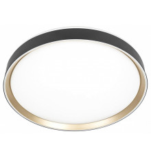 Потолочный светильник Citilux Boss CL751451G
