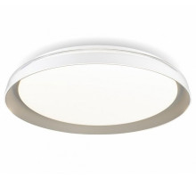 Потолочный светильник Citilux Mega CL752351G