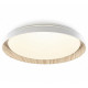 Потолочный светильник Citilux Mega CL752352G