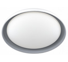 Потолочный светильник Citilux Mega CL752451G