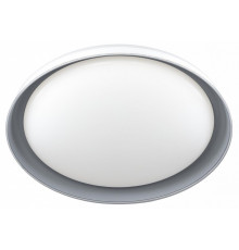 Потолочный светильник Citilux Mega CL752451G