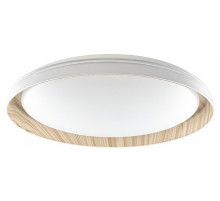 Потолочный светильник Citilux Mega CL752452G