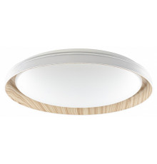Потолочный светильник Citilux Mega CL752452G