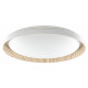 Потолочный светильник Citilux Mega CL752452G