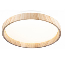 Потолочный светильник Citilux Enzo CL753352G