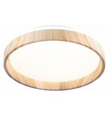 Потолочный светильник Citilux Enzo CL753352G