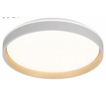 Потолочный светильник Citilux Enzo CL753450G