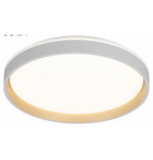Потолочный светильник Citilux Enzo CL753450G